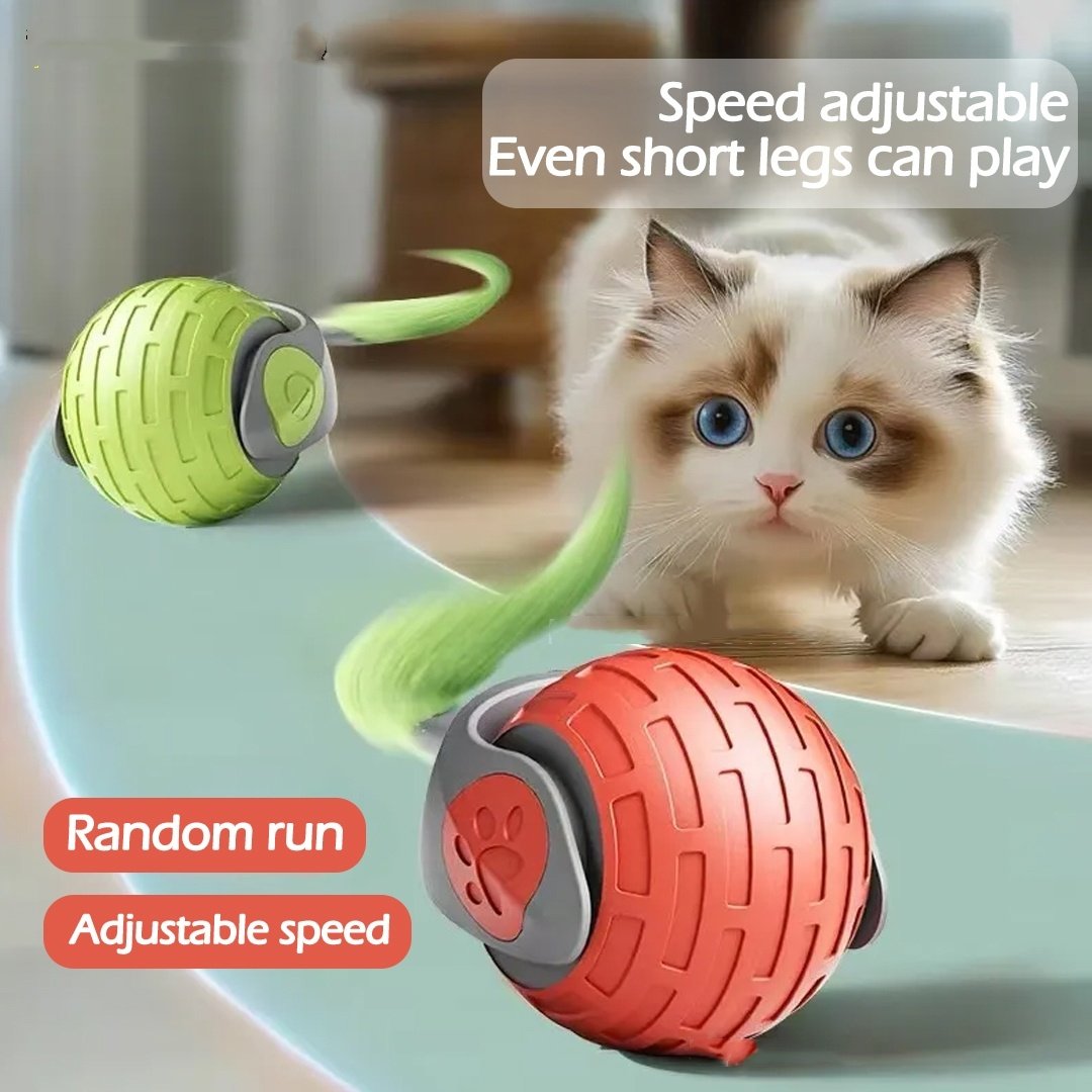 USB Rechargeable Interactive Rolling Ball – Smart Automatic Cat Toy for Kittens & Adult Cats